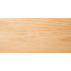 Impregneer XT lakierobejca do drewna z funkcją impregnacji (Bezbarwny UV)